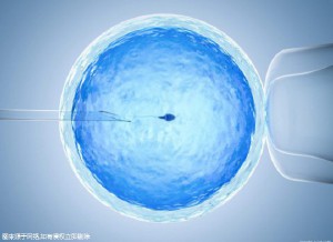 关于代生儿子机构